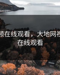 成人视频在线观看，大地网视频高清在线观看