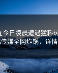 神秘人在今日凌晨遭遇猛料热血沸腾，蜜桃传媒全网炸锅，详情围观