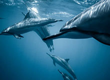 一段录音被转发后,一句“我也是为你好”引爆派出所门口,接下来全是沉默