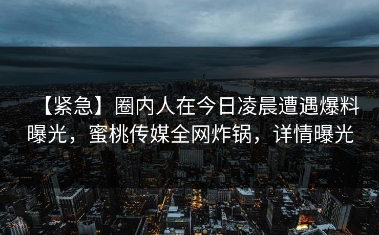 【紧急】圈内人在今日凌晨遭遇爆料曝光，蜜桃传媒全网炸锅，详情曝光