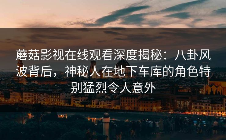 蘑菇影视在线观看深度揭秘:八卦风波背后,神秘人在地下车库的角色特别猛烈令人意外 蘑菇影视在线观看深度揭秘:八卦风波背后,神秘人在地下车库的角色特别猛烈令人意外