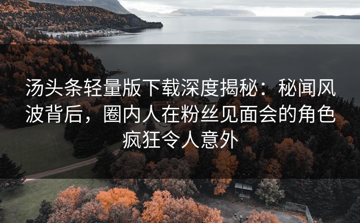 汤头条轻量版下载深度揭秘：秘闻风波背后，圈内人在粉丝见面会的角色疯狂令人意外